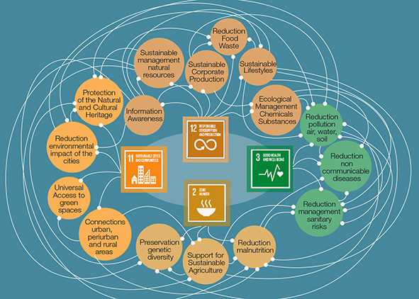 Links between the indicators of the 2030 Sustainable Development Goals, which best respond to the global challenges on the issues of food and health. AGATHÓN 08 | 2020