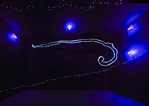 Lucio Fontana, Ambiente spaziale, 1967 (credit: Fondazione Lucio Fontana, Foto A. Osio)