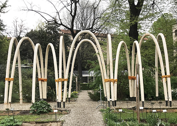 The Circular Garden (ENI and Carlo Ratti Associati, 2019), installation in Orto Botanico Brera, Milano (credit: R. Franchino). agathón