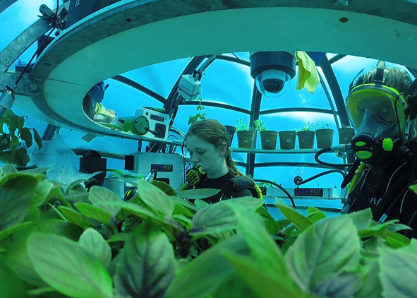 Nemo’s Garden, designed by Sergio Gamberini: an underwater greenhouse for growing terrestrial vegetable crops on the seabed (source: nemosgarden.com, 2022). AGATHÓN 12 | 2022