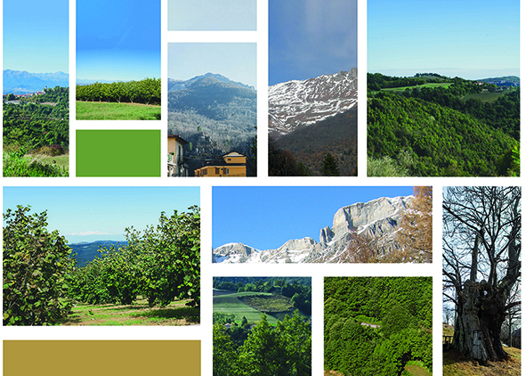 Piedmontese Landscapes Moodboard (credits: F. Delprino and A. Ghersi). AGATHÓN 14 | 2023