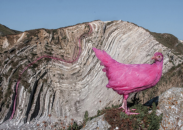 Pink Chicken Project, by Leo Fidjeland and Linnea Våglund. AGATHÓN 16 | 2024