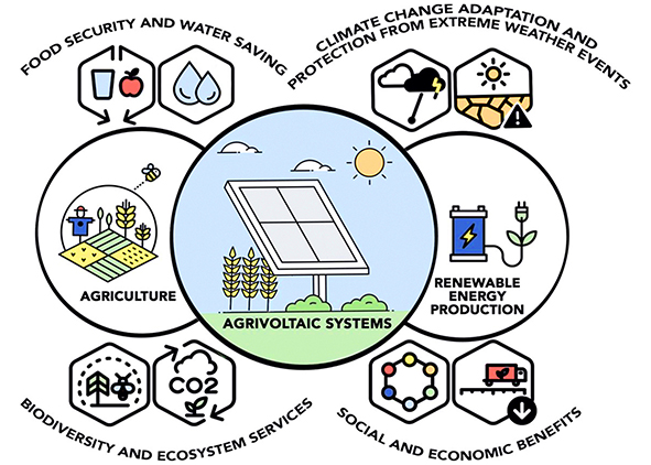 Diagram of agrivoltaic systems. AGATHÓN 18 | 2025